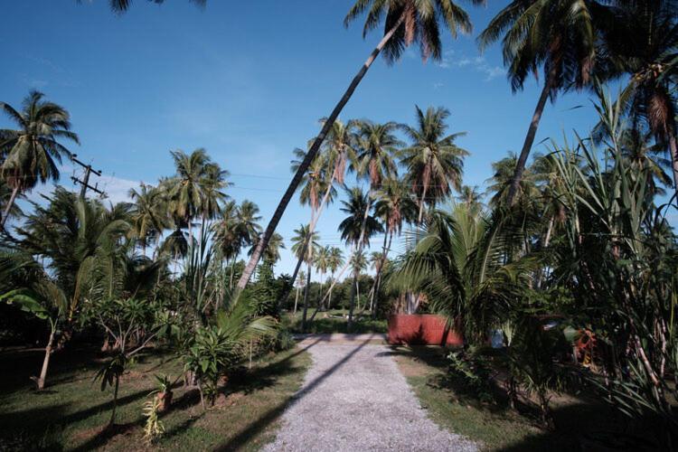 Coconut Tree Homestay Ban Wa Thon 외부 사진